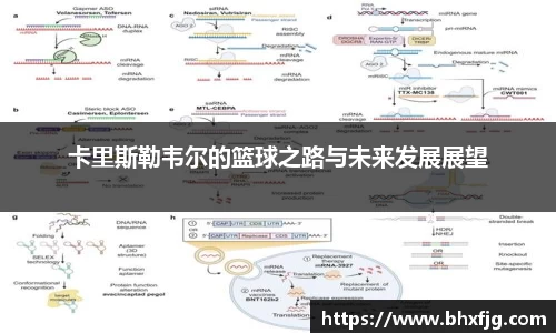 好博体育